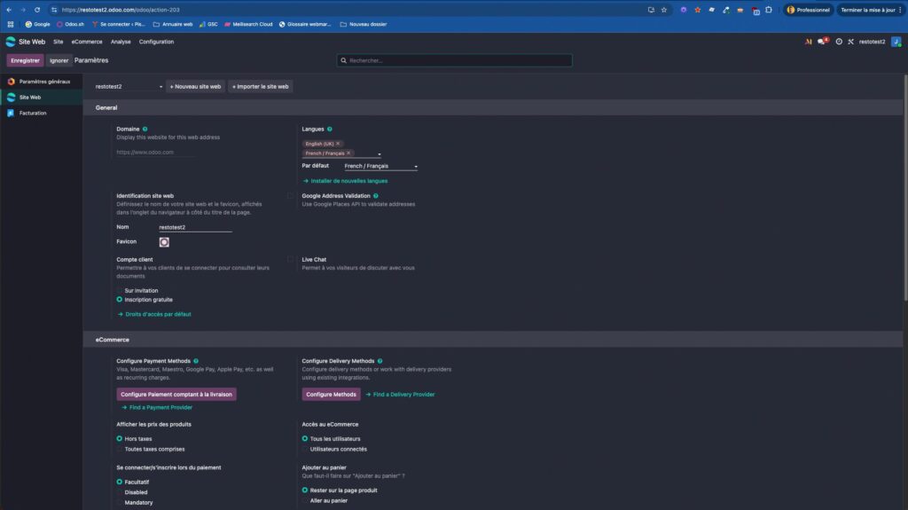 création site odoo multilingue